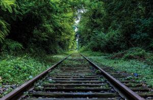 Railway track in the midst of vegetation
